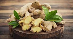 Groundbreaking Anti-Cancer Properties Uncovered in Kencur Ginger